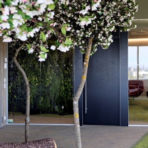 Tekero referents Telia Eesti peahoone. Interface plaatvaibad Urban Retreat, Near & Far ja Human Nature. 